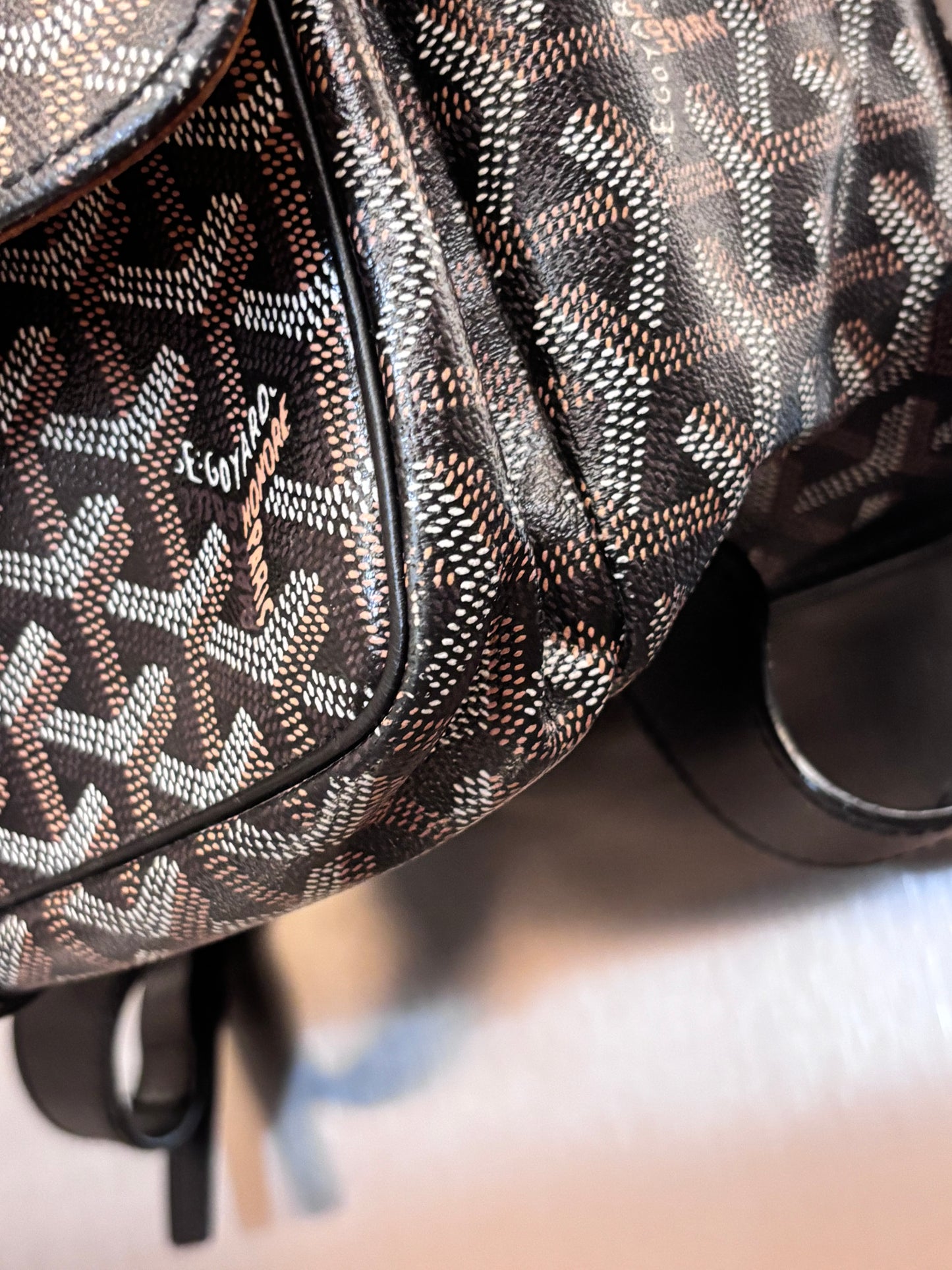Goyard Janson Backpack