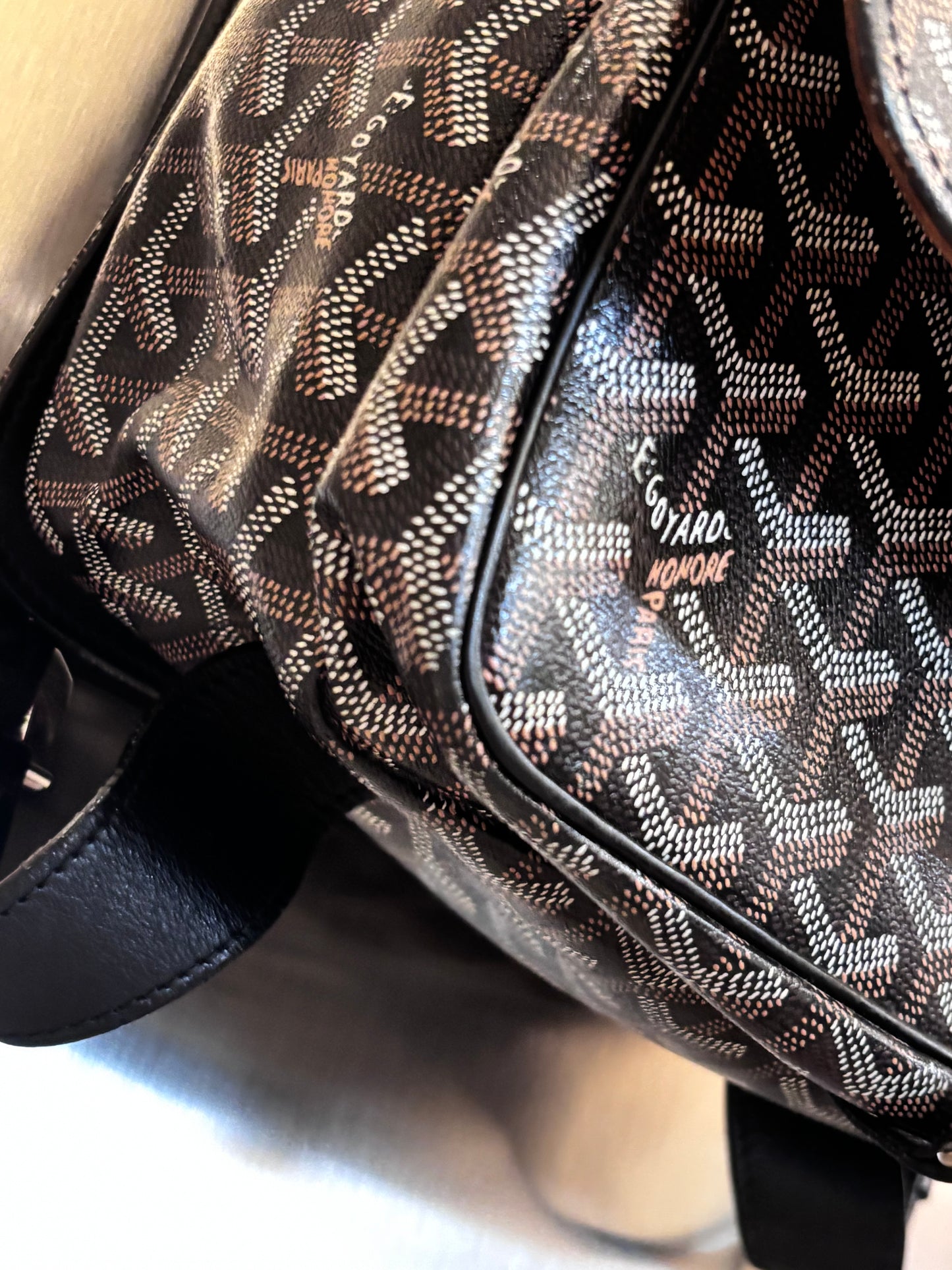 Goyard Janson Backpack