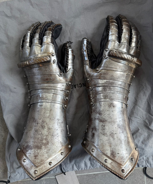 BALENCIAGA AW21 Chevaler Amore gloves